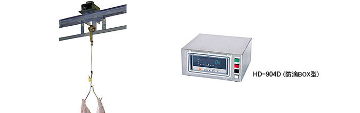 Running scale (Overhead scale) (DRS-300/DRS-500)
